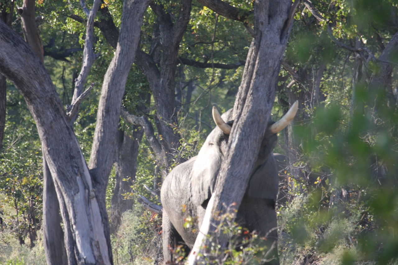 [22838] 2016_06_30_02_08_06_Africa_Canon_EOS_40D_IMG__03742.jpg