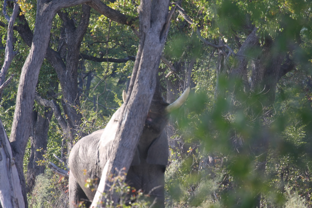 [22864] 2016_06_30_02_08_10_Africa_Canon_EOS_40D_IMG__11196.jpg