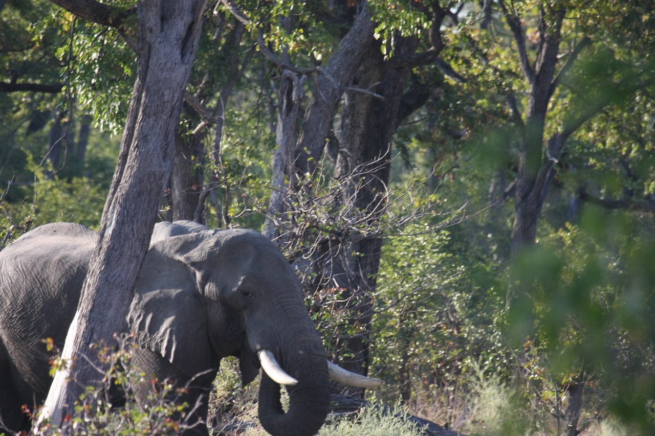 [22936] 2016_06_30_02_10_18_Africa_Canon_EOS_40D_IMG__00052.jpg