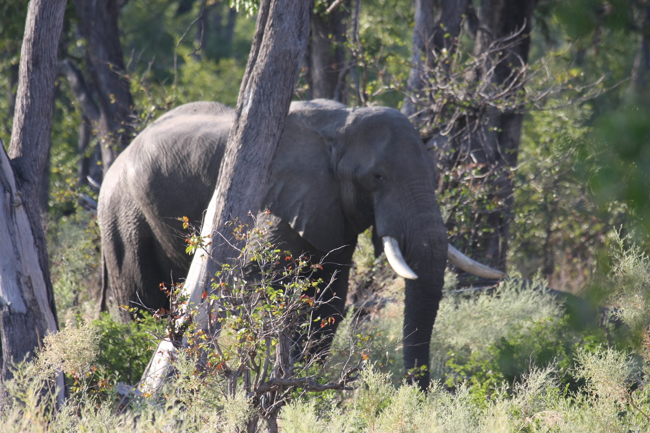 [22940] 2016_06_30_02_10_24_Africa_Canon_EOS_40D_IMG__00054.jpg