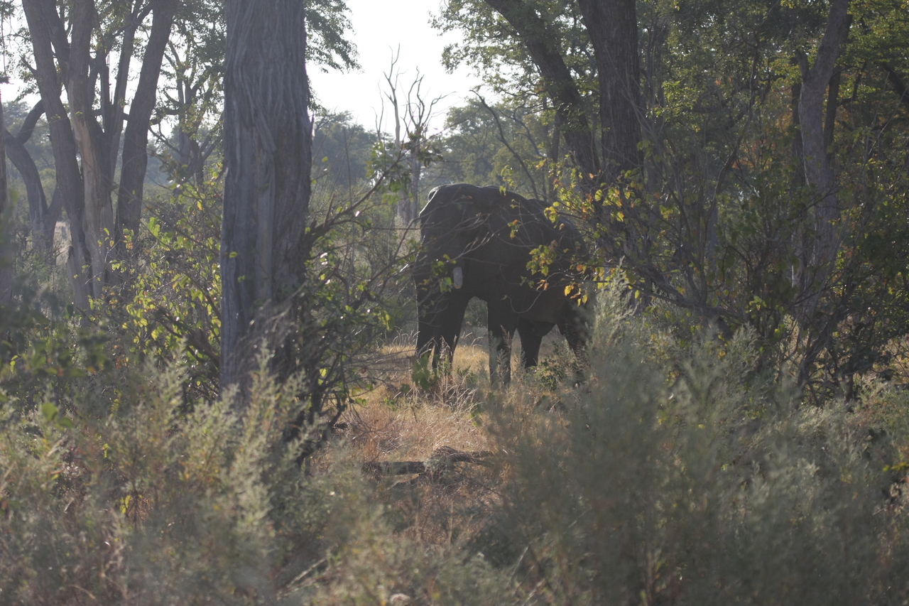 [22948] 2016_06_30_02_13_45_Africa_Canon_EOS_40D_IMG__00056.jpg