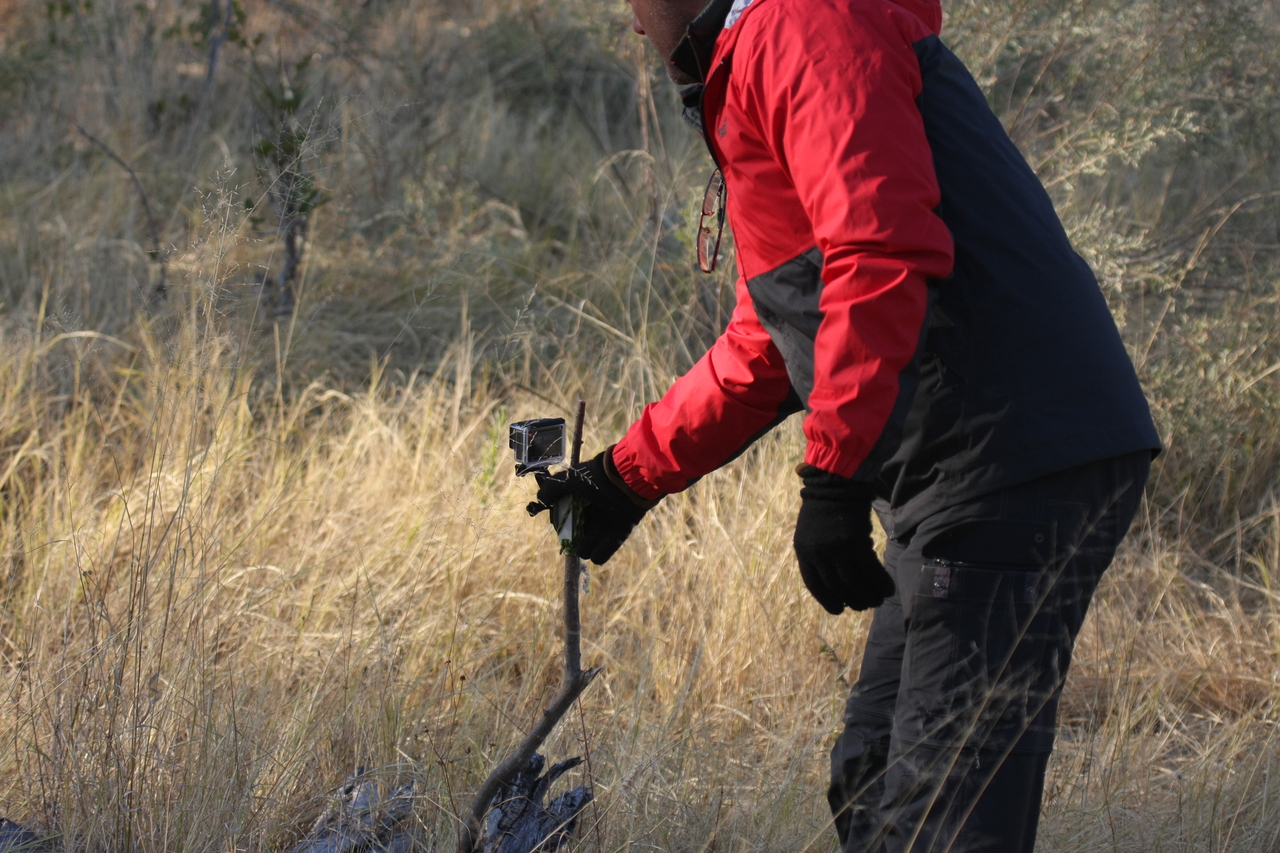 [22967] 2016_06_30_02_14_30_Africa_Canon_EOS_40D_IMG__00064.jpg