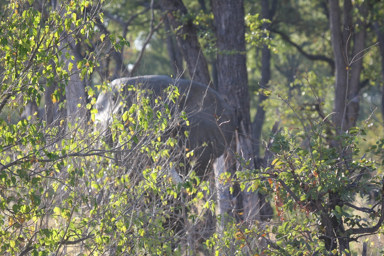 [22973] 2016_06_30_02_14_37_Africa_Canon_EOS_40D_IMG__00066.jpg