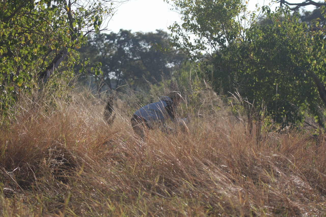 [23072] 2016_06_30_02_27_19_Africa_Canon_EOS_40D_IMG__00087.jpg