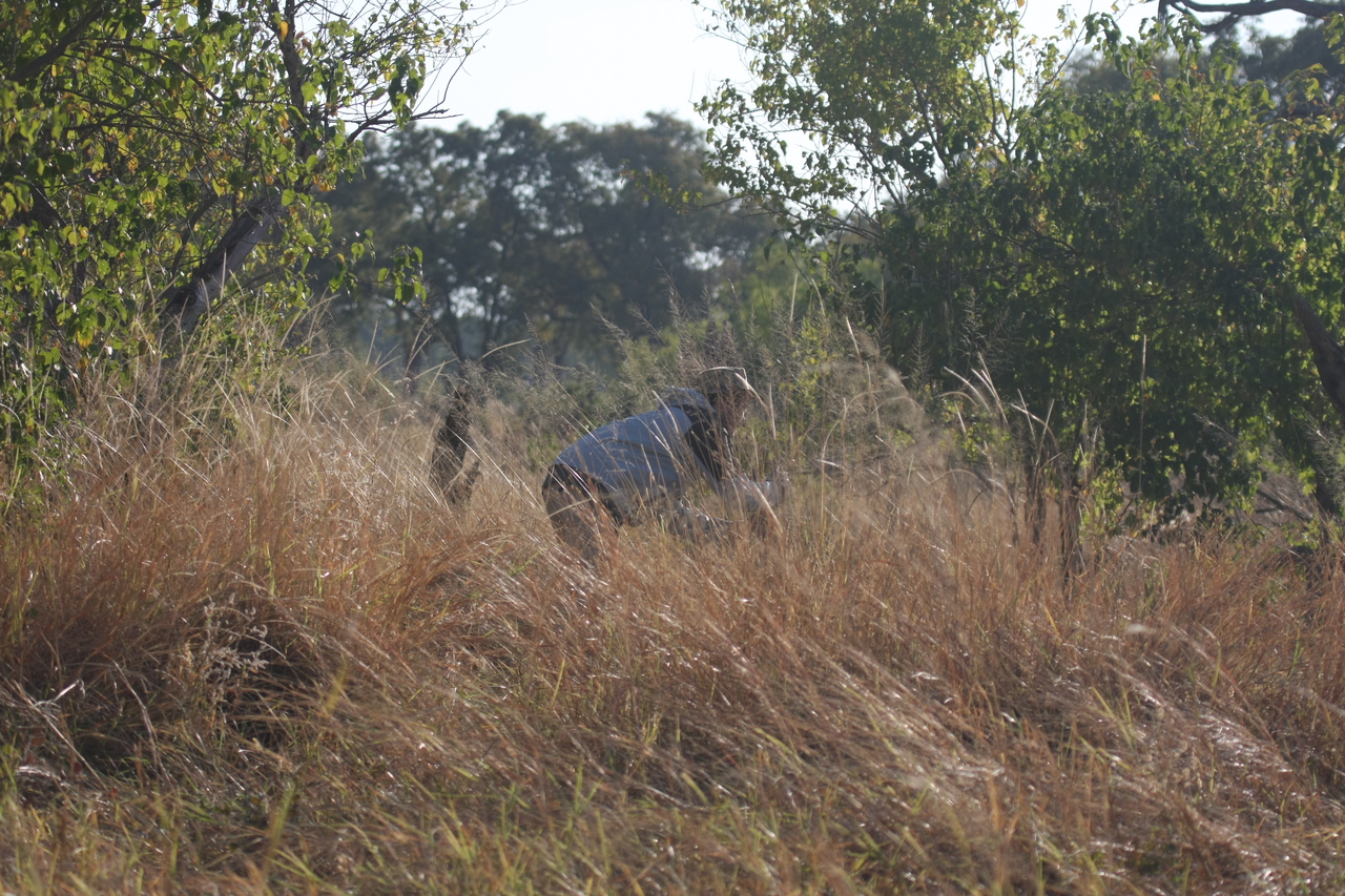 [23073] 2016_06_30_02_27_19_Africa_Canon_EOS_40D_IMG__00088.jpg