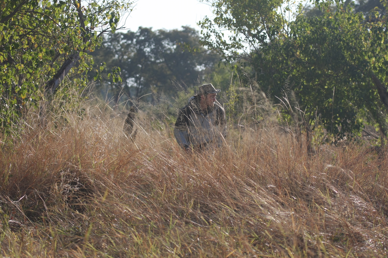 [23084] 2016_06_30_02_27_51_Africa_Canon_EOS_40D_IMG__00092.jpg