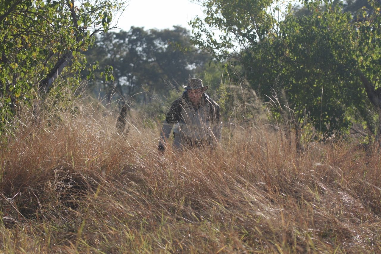 [23089] 2016_06_30_02_27_51_Africa_Canon_EOS_40D_IMG__03820.jpg