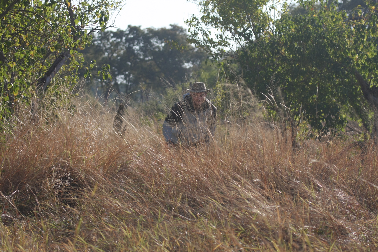 [23091] 2016_06_30_02_27_51_Africa_Canon_EOS_40D_IMG__11266.jpg