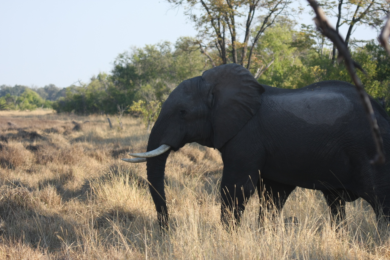 [23134] 2016_06_30_02_30_37_Africa_Canon_EOS_40D_IMG__03835.jpg