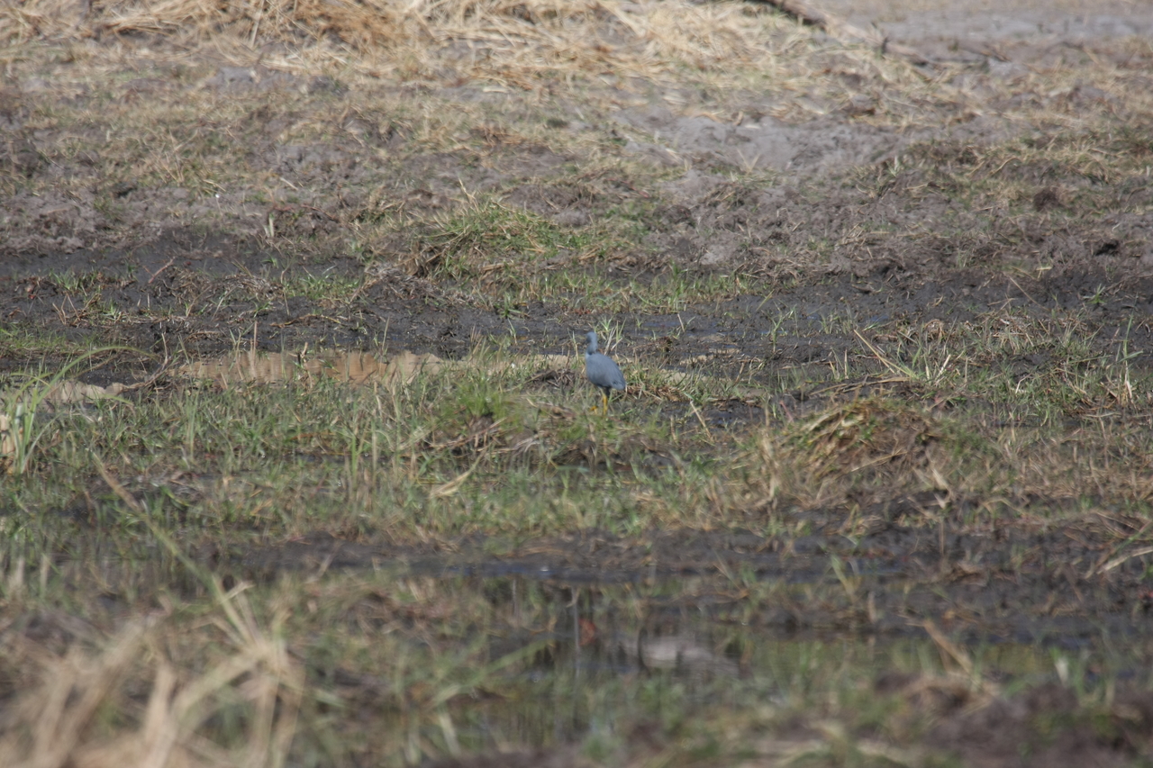 [23479] 2016_06_30_03_55_35_Africa_Canon_EOS_40D_IMG__03944.jpg