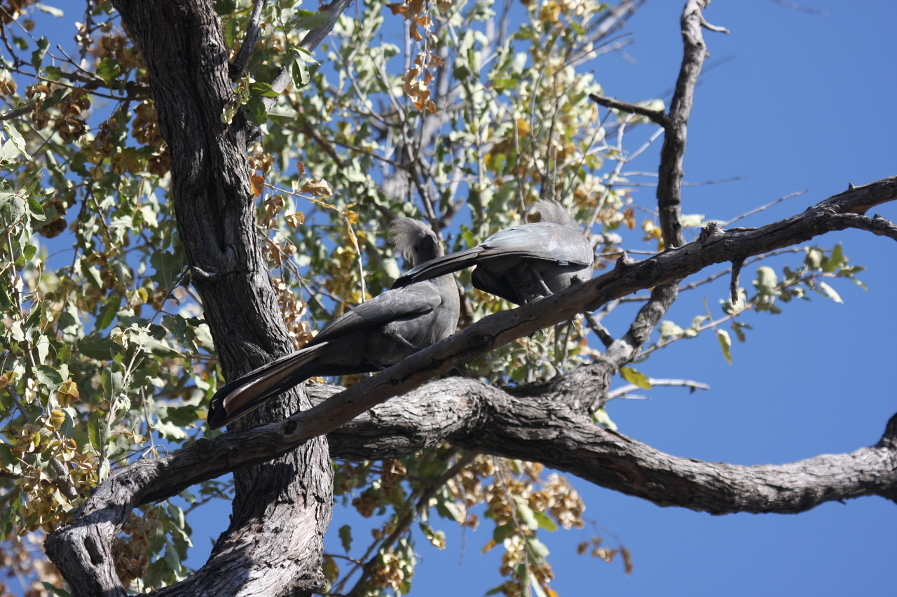 [23508] 2016_06_30_04_19_08_Africa_Canon_EOS_40D_IMG__00220.jpg