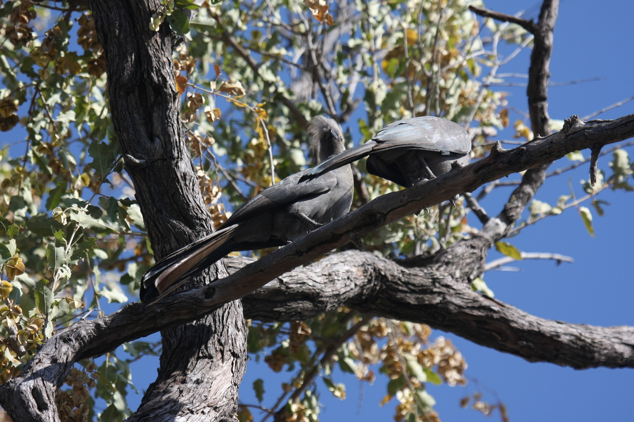 [23518] 2016_06_30_04_19_12_Africa_Canon_EOS_40D_IMG__00226.jpg