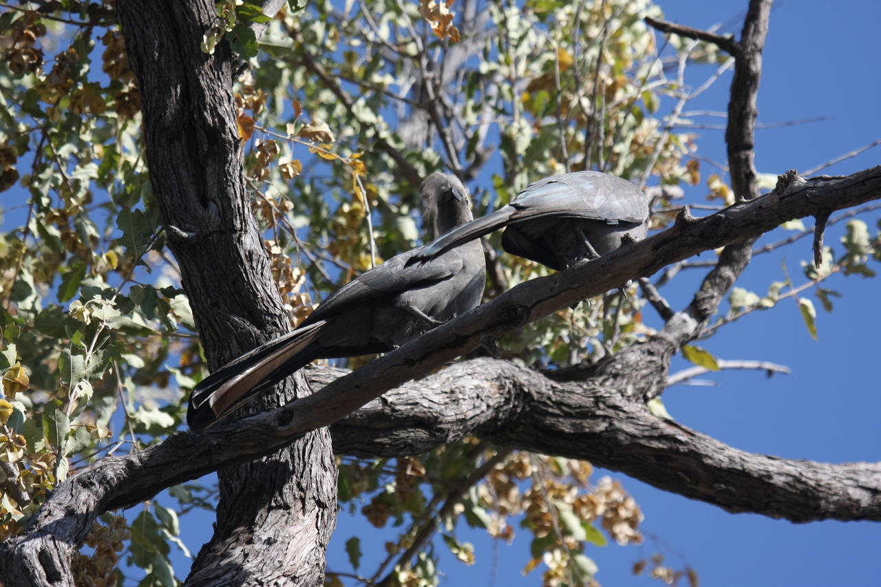 [23520] 2016_06_30_04_19_12_Africa_Canon_EOS_40D_IMG__03949.jpg