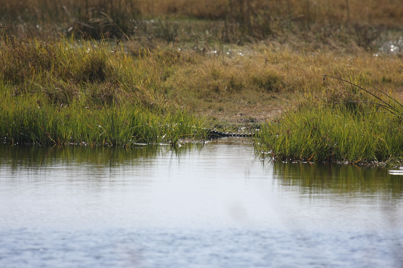 [23531] 2016_06_30_04_55_39_Africa_Canon_EOS_40D_IMG__11402.jpg