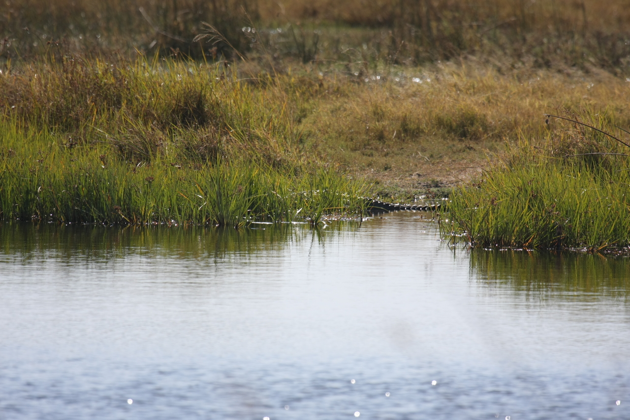 [23543] 2016_06_30_04_55_53_Africa_Canon_EOS_40D_IMG__11406.jpg