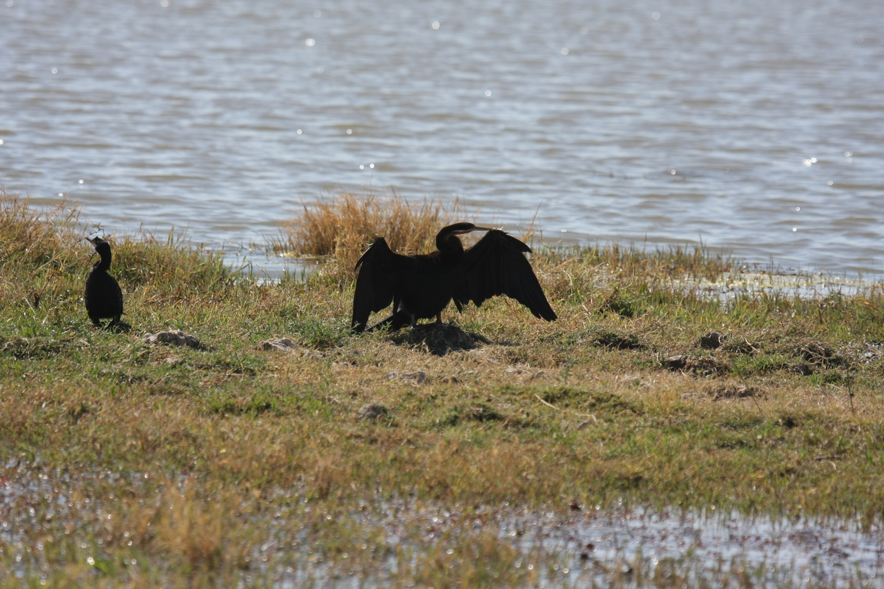 [23897] 2016_06_30_05_25_28_Africa_Canon_EOS_40D_IMG__00338.jpg