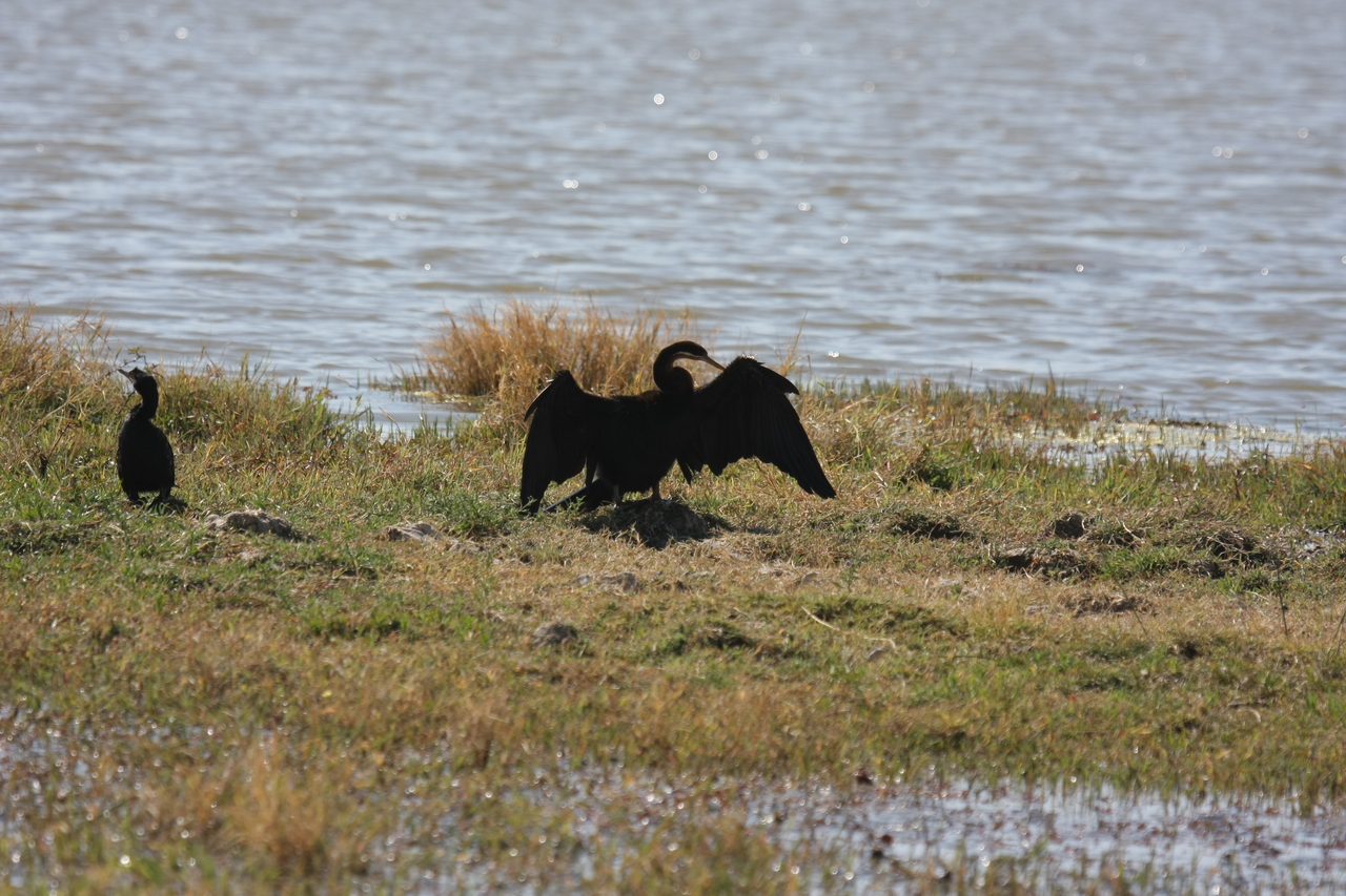 [23899] 2016_06_30_05_25_28_Africa_Canon_EOS_40D_IMG__04063.jpg