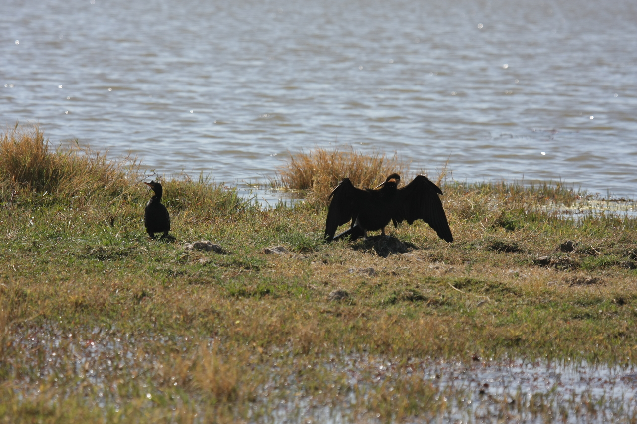 [23908] 2016_06_30_05_25_32_Africa_Canon_EOS_40D_IMG__04067.jpg