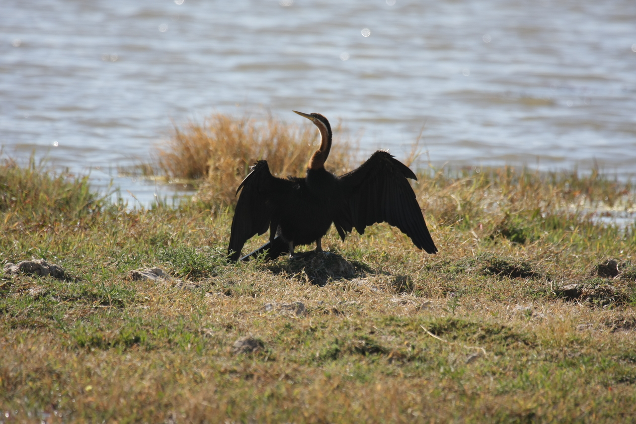 [23913] 2016_06_30_05_25_38_Africa_Canon_EOS_40D_IMG__00344.jpg