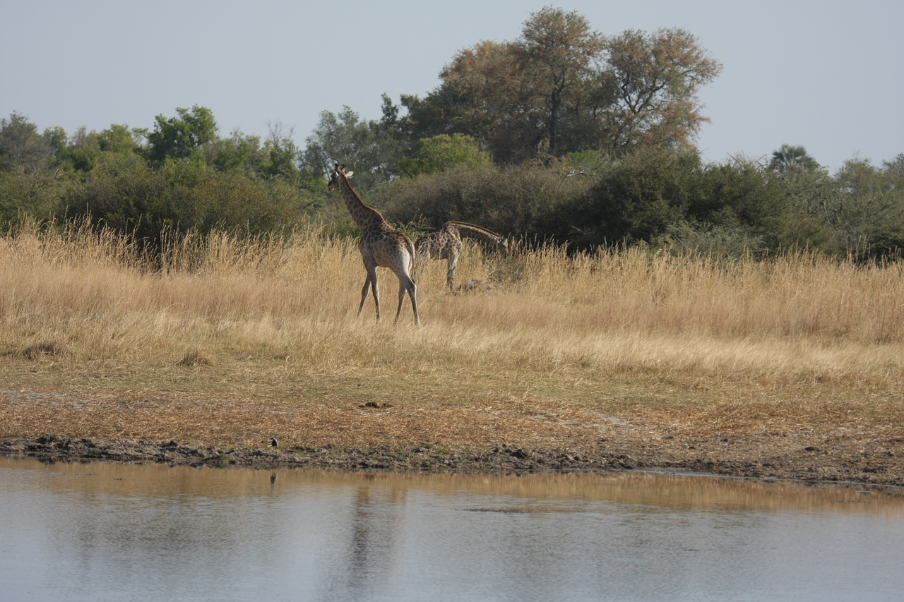 [24672] 2016_06_30_08_58_25_Africa_Canon_EOS_40D_IMG__00590.jpg