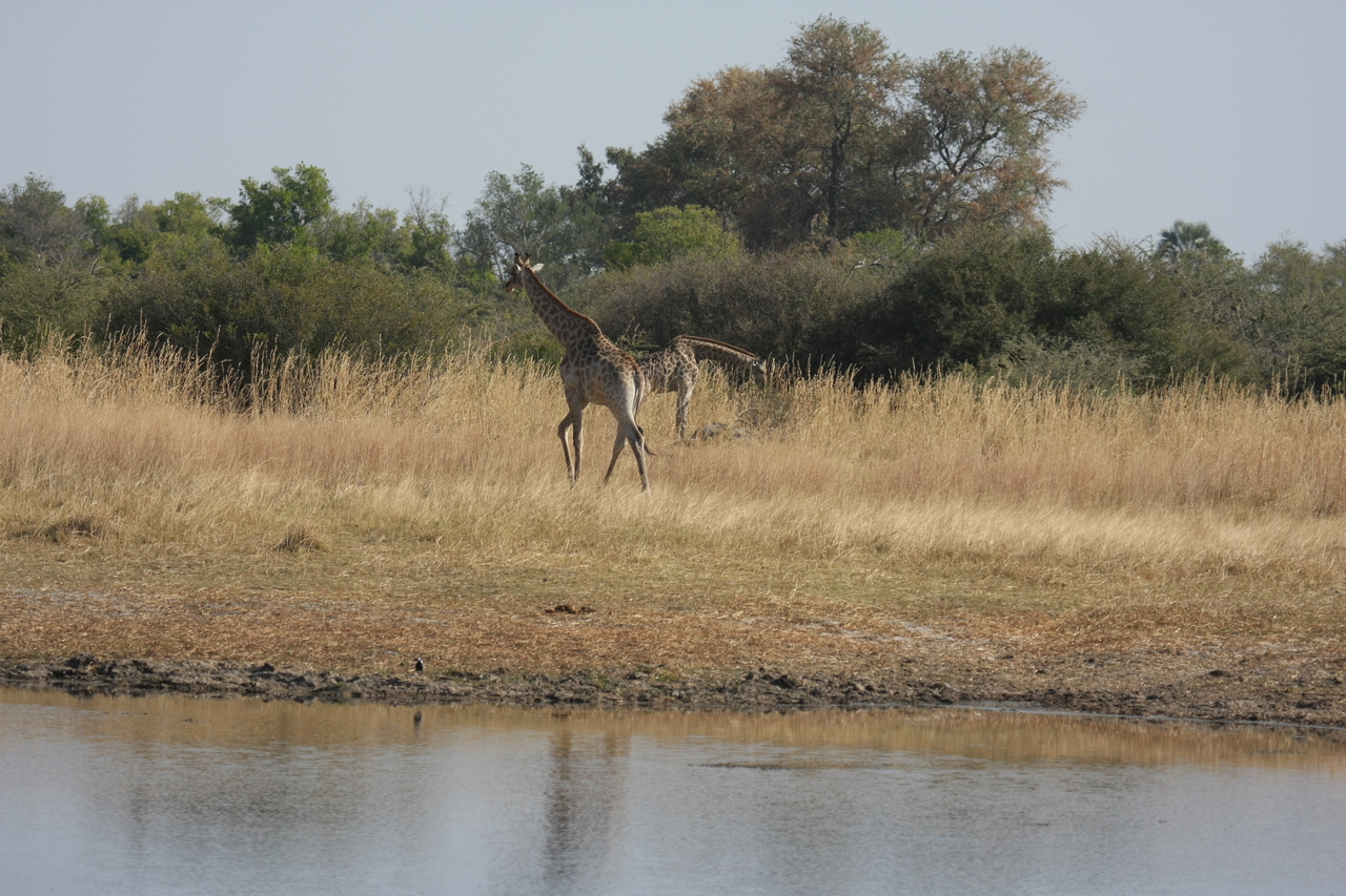 [24675] 2016_06_30_08_58_25_Africa_Canon_EOS_40D_IMG__11762.jpg