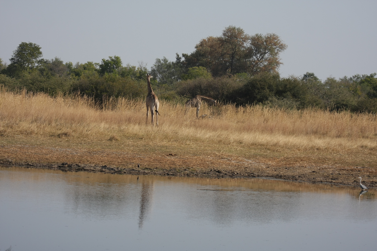 [24679] 2016_06_30_08_58_28_Africa_Canon_EOS_40D_IMG__00594.jpg