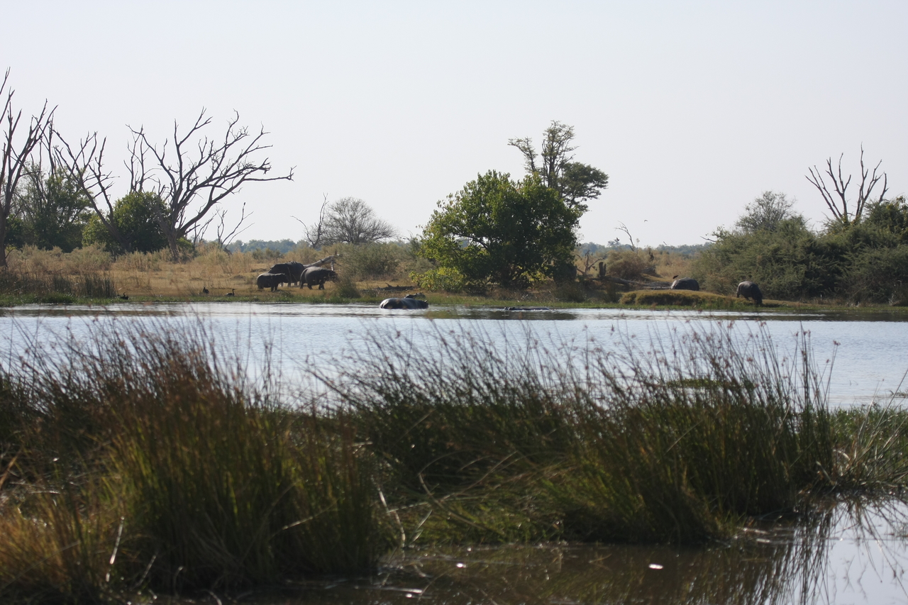 [24726] 2016_06_30_09_05_57_Africa_Canon_EOS_40D_IMG__04335.jpg