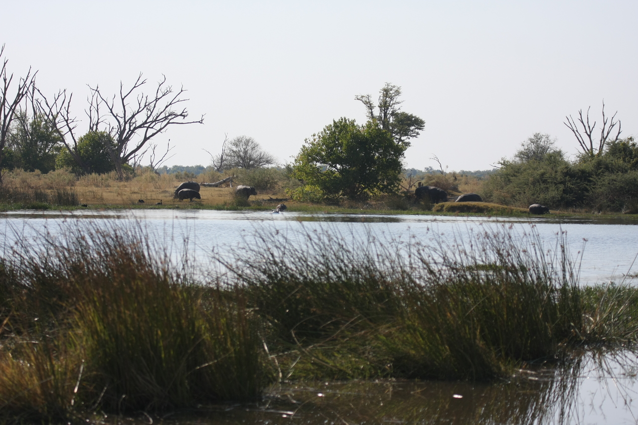 [24737] 2016_06_30_09_06_03_Africa_Canon_EOS_40D_IMG__11784.jpg