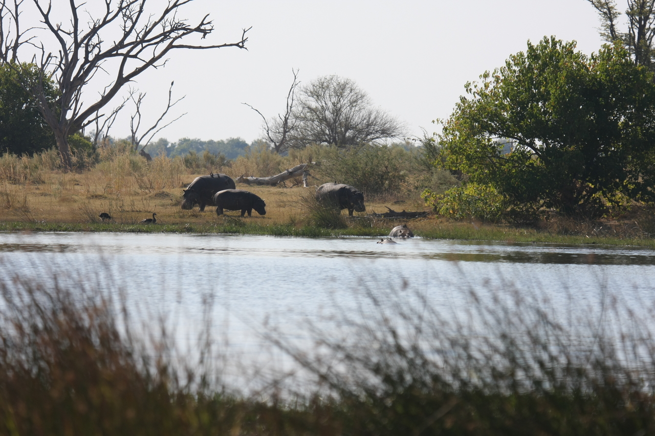 [24745] 2016_06_30_09_06_12_Africa_Canon_EOS_40D_IMG__11789.jpg