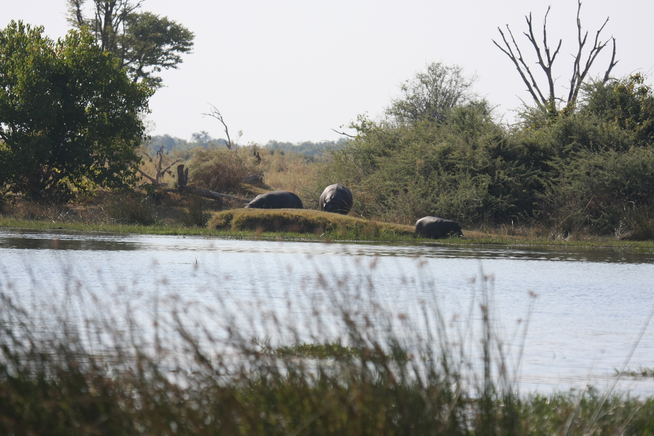 [24746] 2016_06_30_09_06_15_Africa_Canon_EOS_40D_IMG__00617.jpg