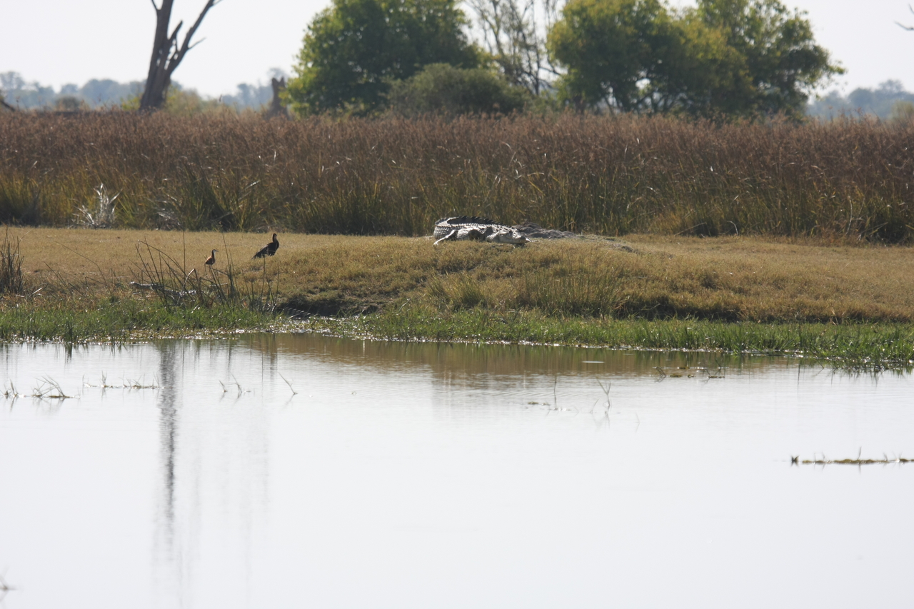 [24786] 2016_06_30_09_10_00_Africa_Canon_EOS_40D_IMG__00632.jpg