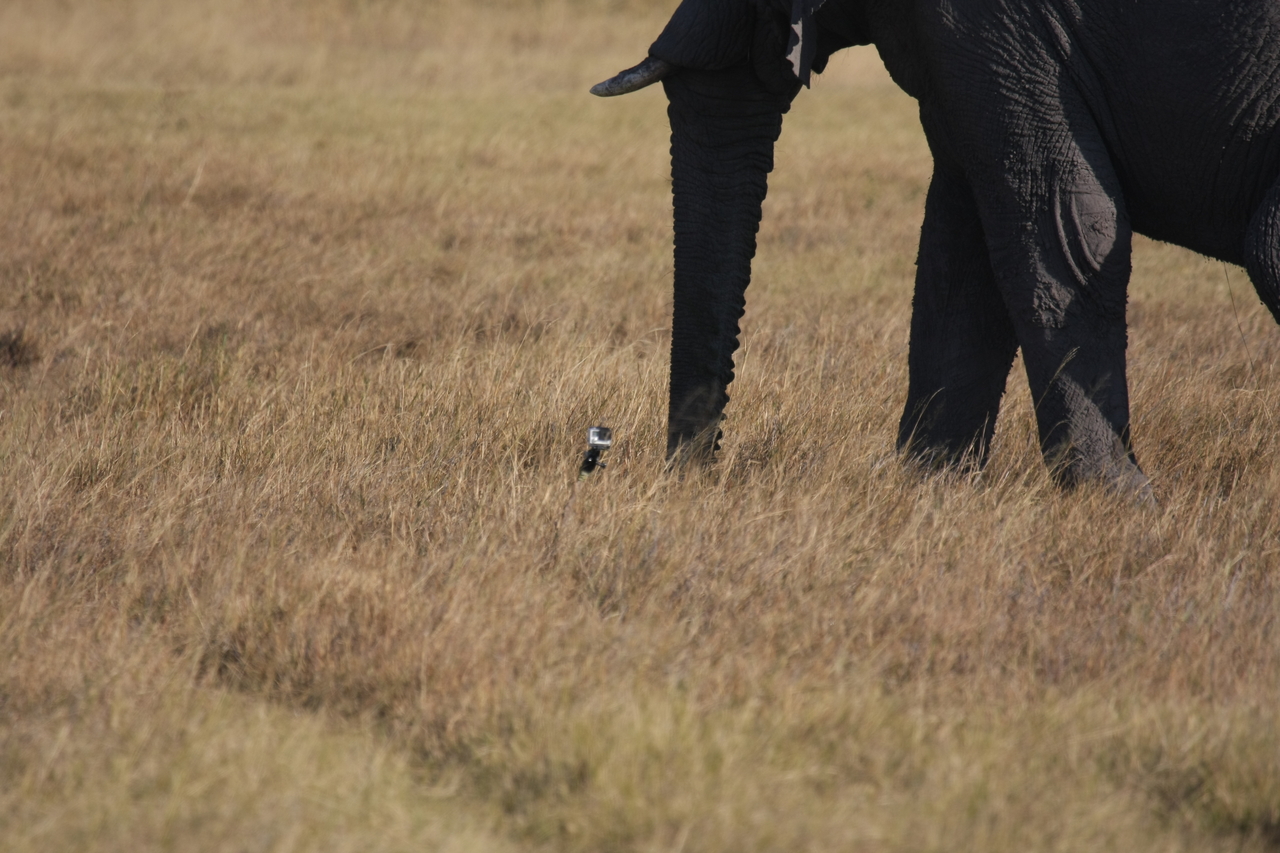 [25147] 2016_06_30_10_09_30_Africa_Canon_EOS_40D_IMG__00758.jpg