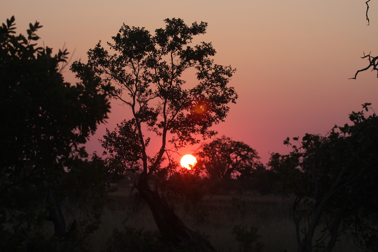 [25225] 2016_06_30_11_53_42_Africa_Canon_EOS_40D_IMG__11956.jpg