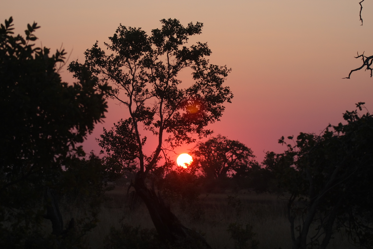 [25226] 2016_06_30_11_53_43_Africa_Canon_EOS_40D_IMG__00784.jpg