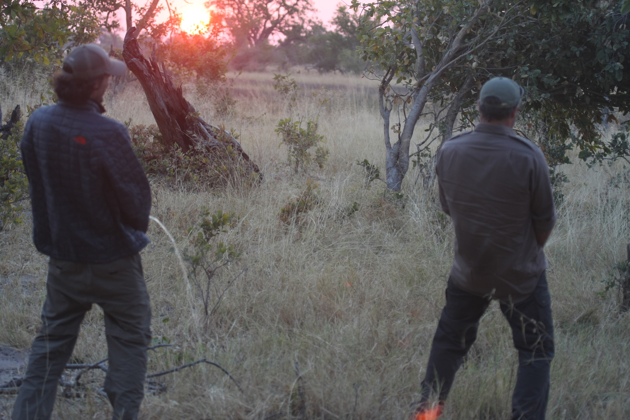 [25240] 2016_06_30_11_54_17_Africa_Canon_EOS_40D_IMG__04515.jpg