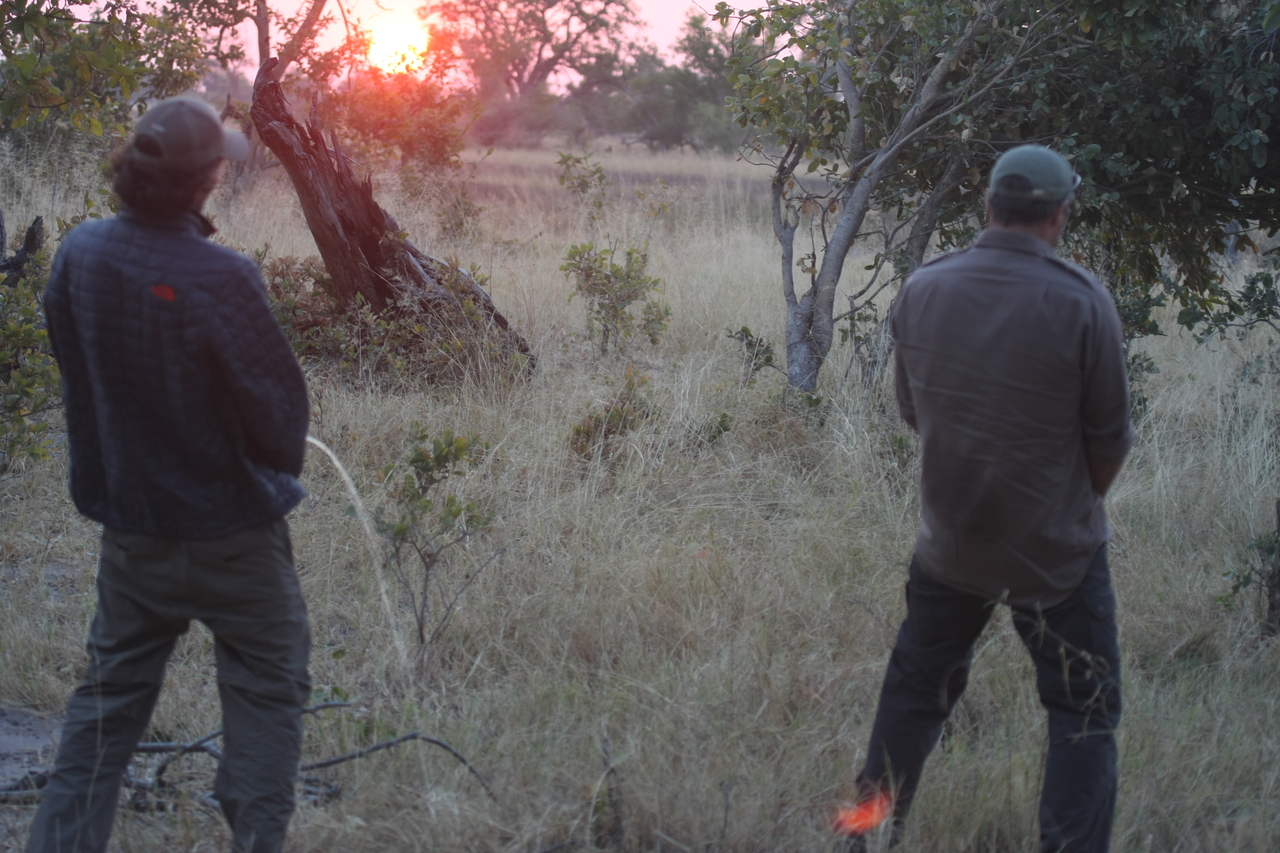 [25245] 2016_06_30_11_54_18_Africa_Canon_EOS_40D_IMG__04516.jpg