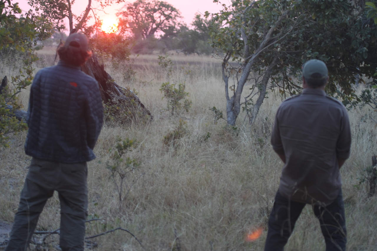 [25261] 2016_06_30_11_54_33_Africa_Canon_EOS_40D_IMG__04521.jpg