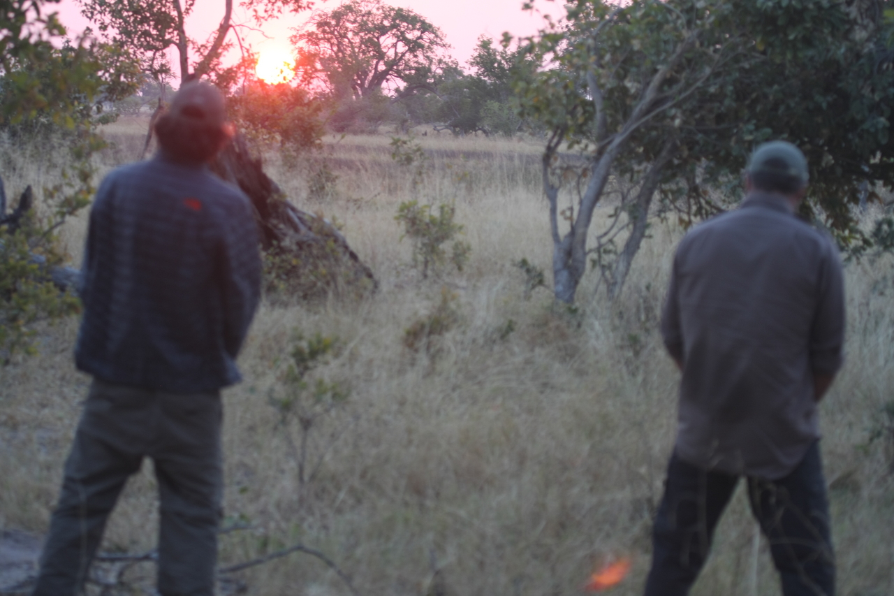 [25263] 2016_06_30_11_54_33_Africa_Canon_EOS_40D_IMG__04523.jpg