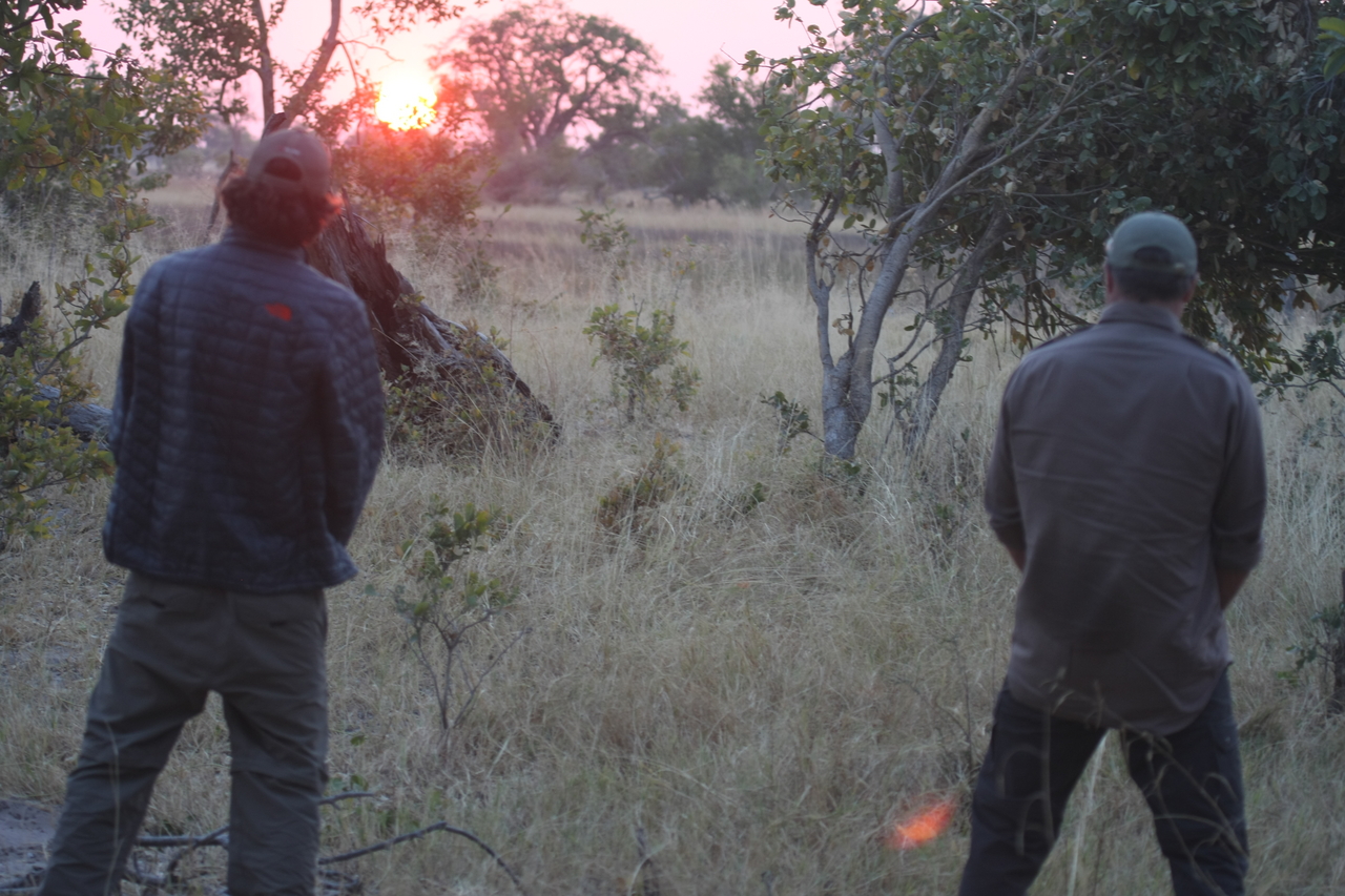 [25265] 2016_06_30_11_54_33_Africa_Canon_EOS_40D_IMG__11969.jpg