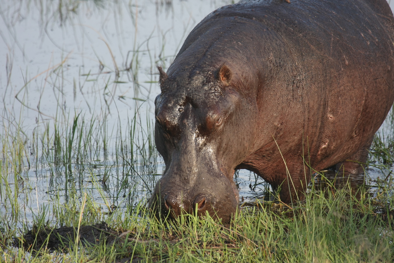 [27652] 2016_07_02_02_47_49_Africa_Canon_EOS_40D_IMG__00225.jpg