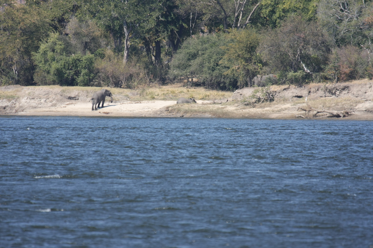 [27857] 2016_07_02_07_53_39_Africa_Canon_EOS_40D_IMG__04547.jpg