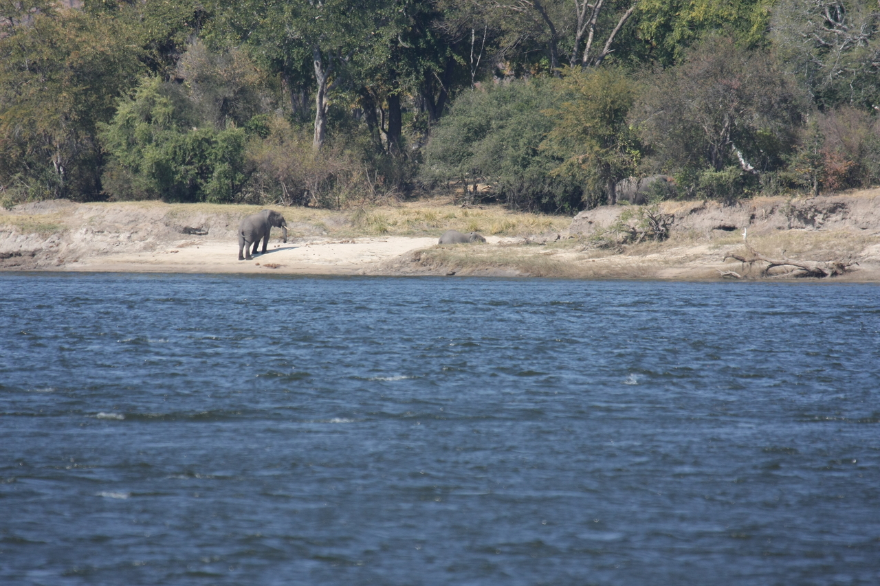 [27858] 2016_07_02_07_53_39_Africa_Canon_EOS_40D_IMG__04830.jpg