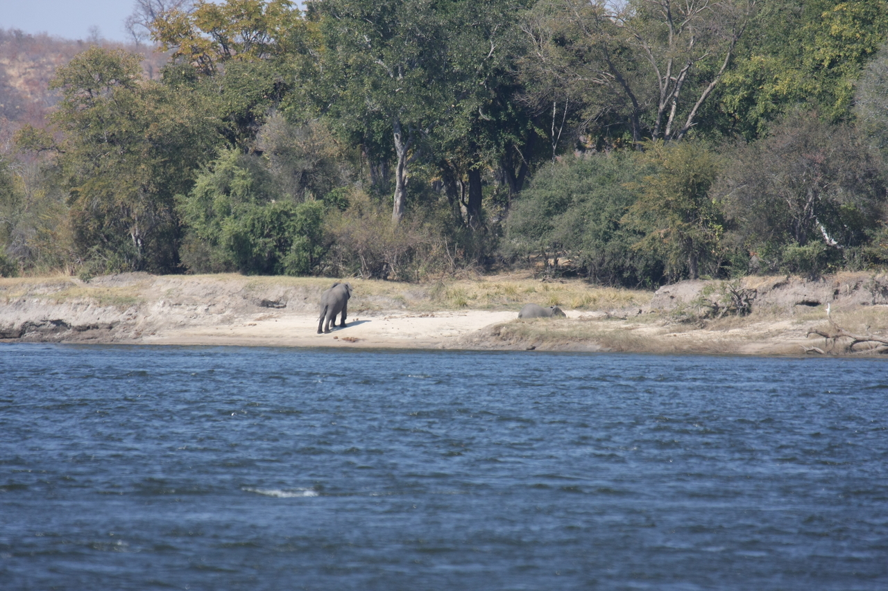 [27861] 2016_07_02_07_53_42_Africa_Canon_EOS_40D_IMG__00005.jpg