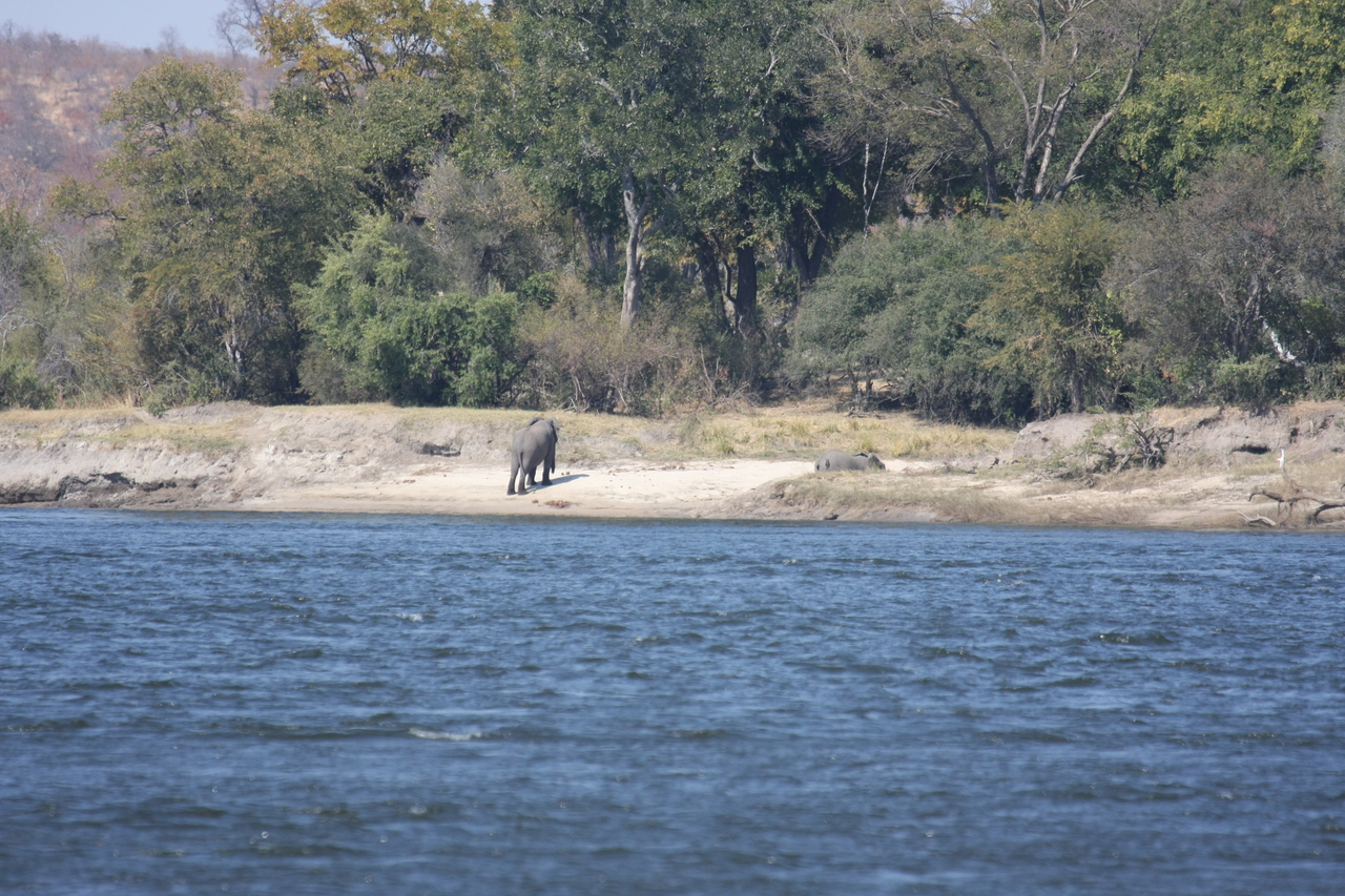 [27863] 2016_07_02_07_53_42_Africa_Canon_EOS_40D_IMG__00007.jpg