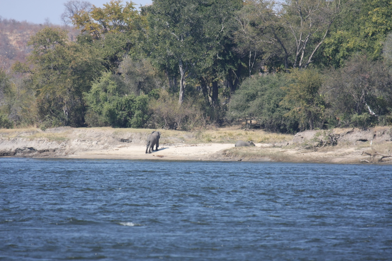 [27868] 2016_07_02_07_53_42_Africa_Canon_EOS_40D_IMG__11996.jpg