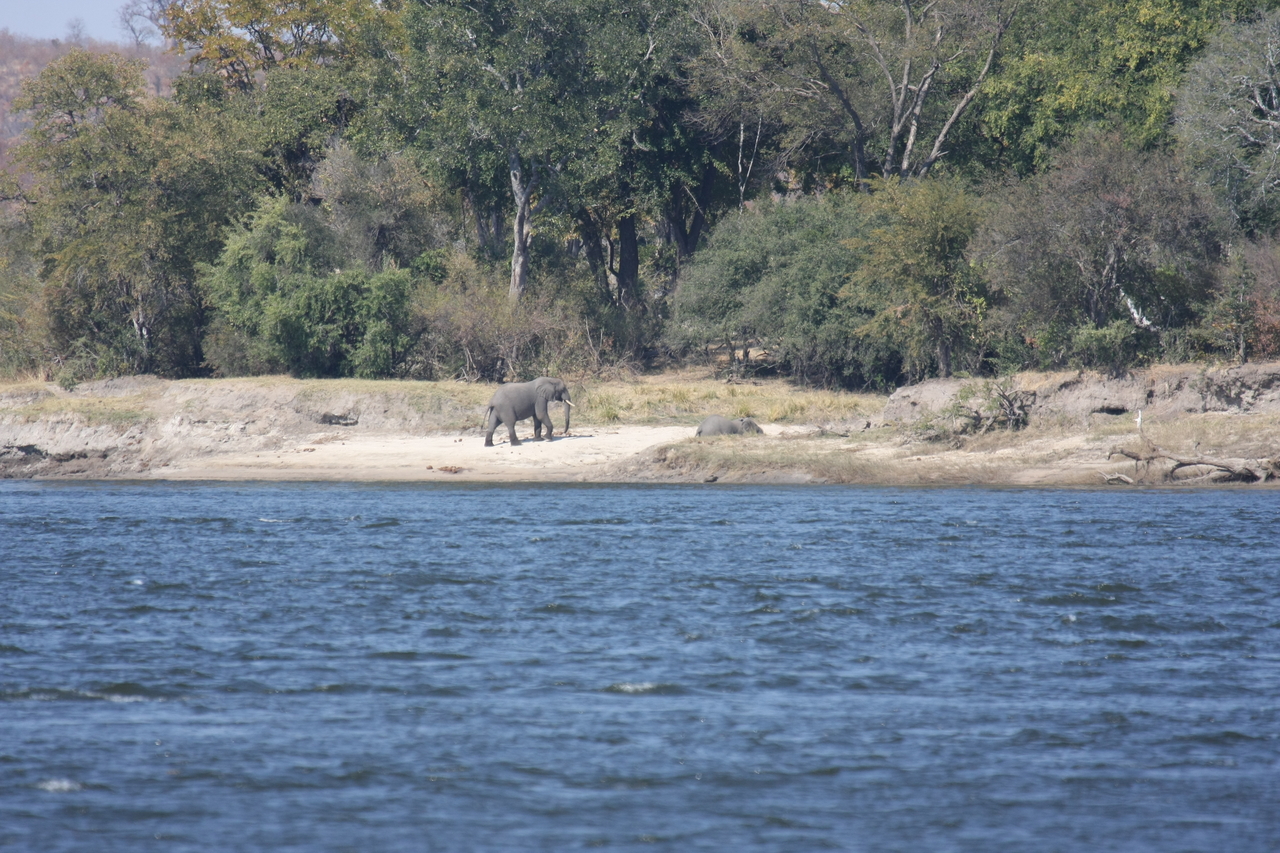 [27871] 2016_07_02_07_53_54_Africa_Canon_EOS_40D_IMG__00009.jpg