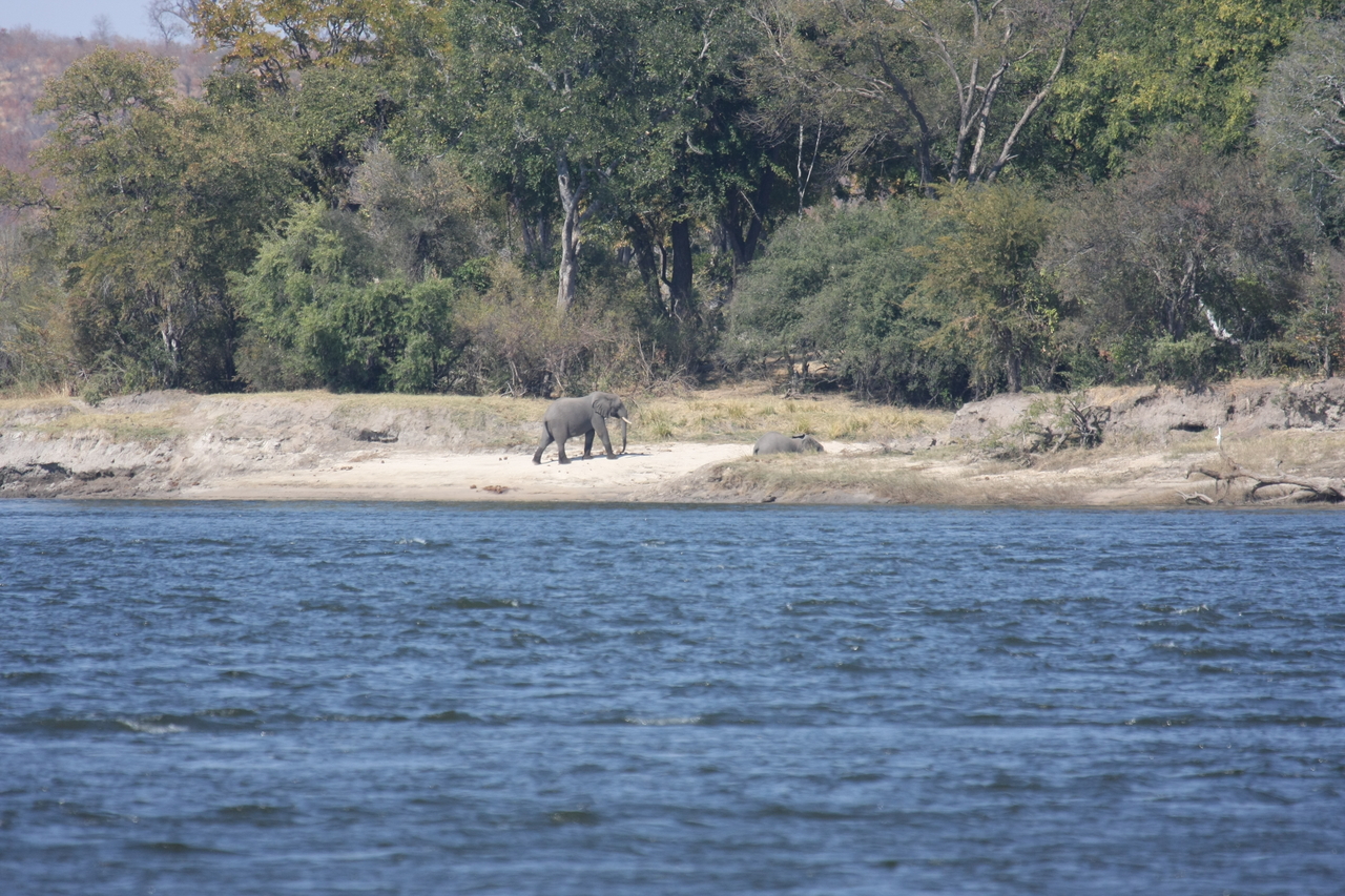 [27875] 2016_07_02_07_53_54_Africa_Canon_EOS_40D_IMG__04553.jpg