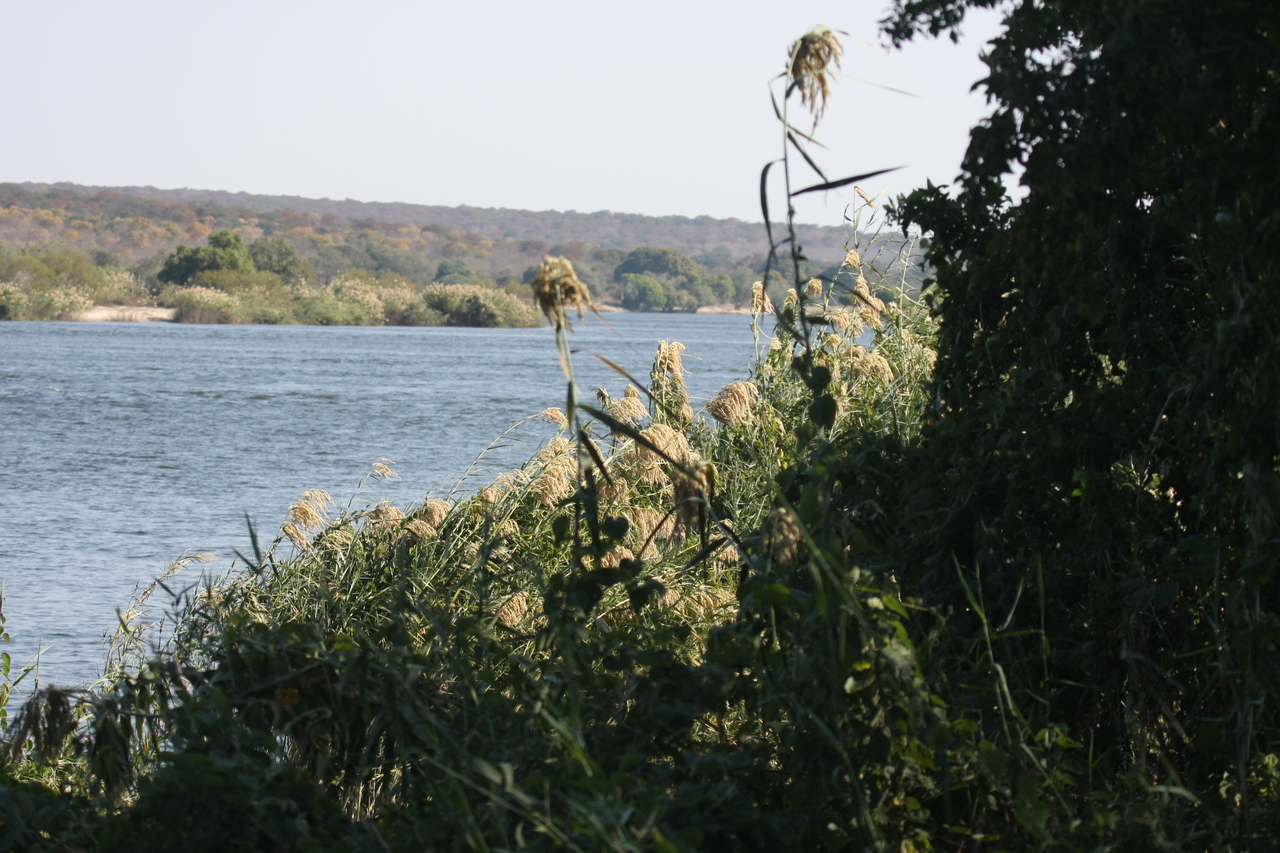 [27913] 2016_07_02_08_40_12_Africa_Canon_EOS_40D_IMG__04562.jpg