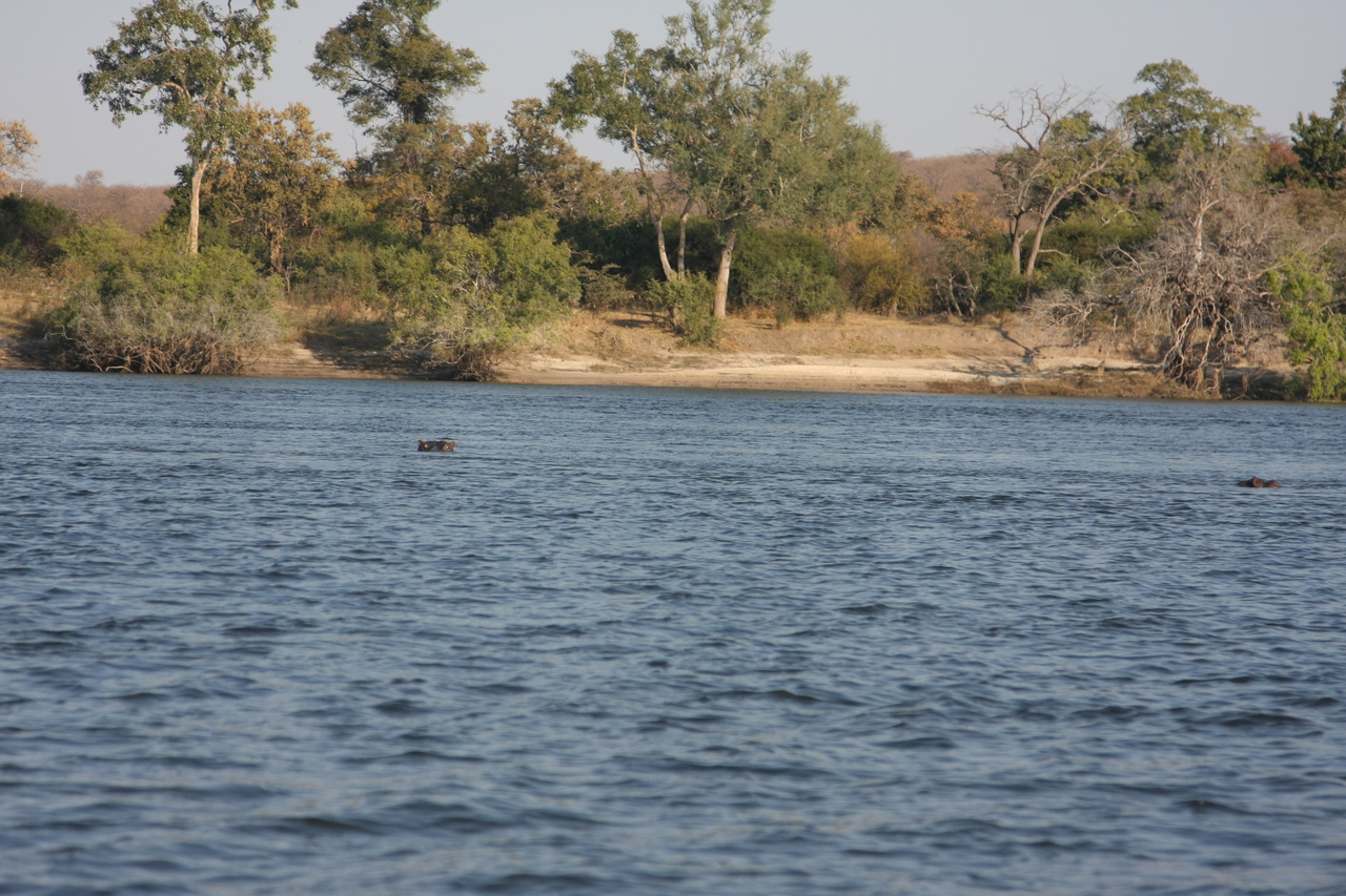 [28144] 2016_07_02_10_17_38_Africa_Canon_EOS_40D_IMG__12013.jpg