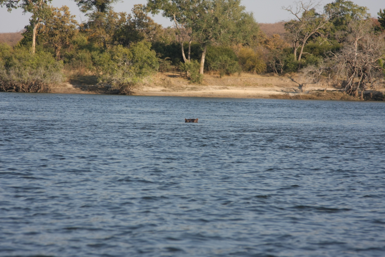 [28146] 2016_07_02_10_17_48_Africa_Canon_EOS_40D_IMG__00026.jpg